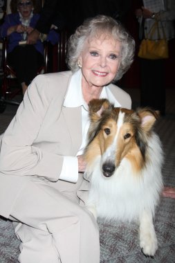 June Lockhart ve Lassie