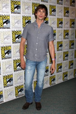 Christopher Gorham