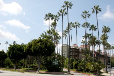 beverly hills otel