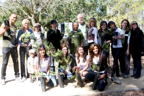 Green Hollywood Tree Planting — Stock Photo, Image