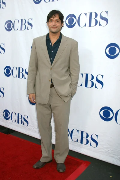 Josh Hopkins. — Foto de Stock