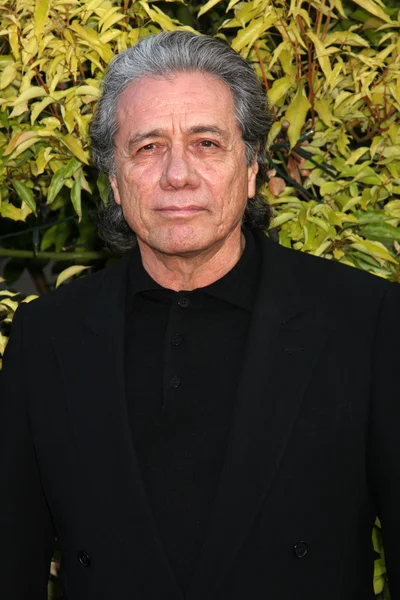 Edward James Olmos — Stockfoto