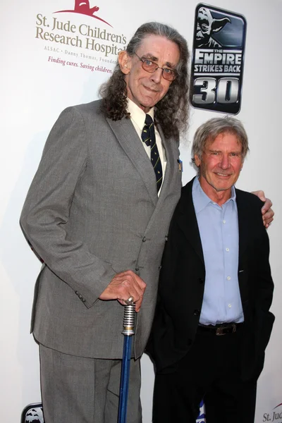 Peter Mayhew y Harrison Ford — Foto de Stock