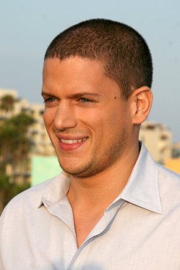 Wentworth Miller
