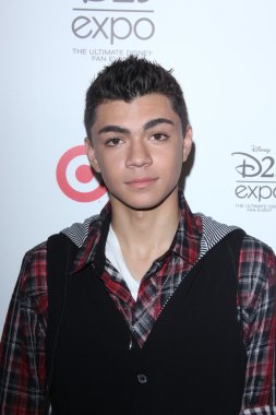 Adam Irigoyen