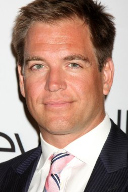 Michael Weatherly'nin