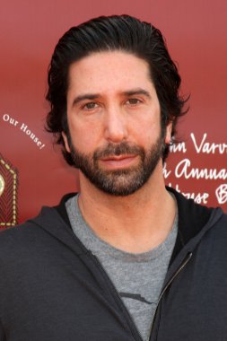 David Schwimmer