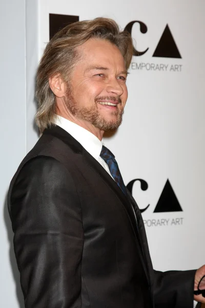 Stephen Nichols. — Foto de Stock