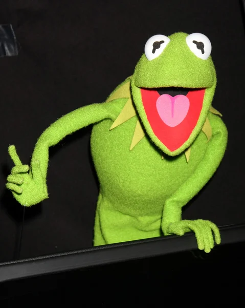 Kermit a béka — Stock Fotó