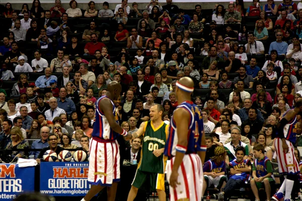 Puce jouant en équipe contre Globetrotters — Photo