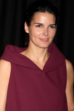Angie harmon