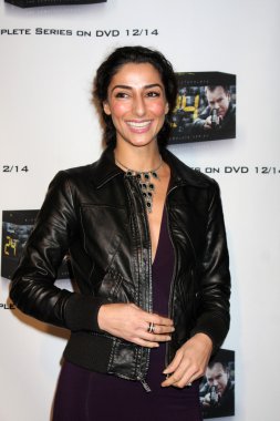 Necar Zadegan