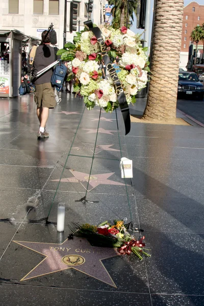 Tony Curtis Star — Foto Stock