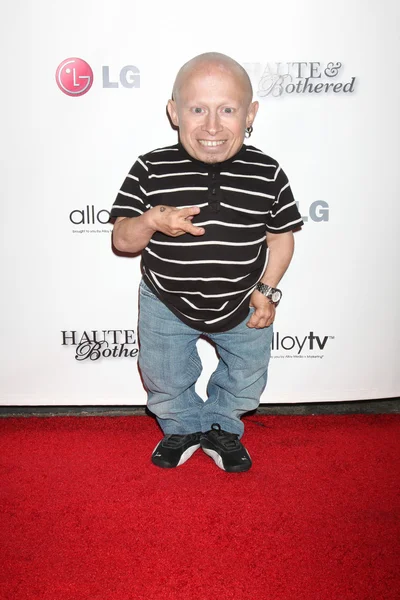 Verne Troyer — Stok fotoğraf