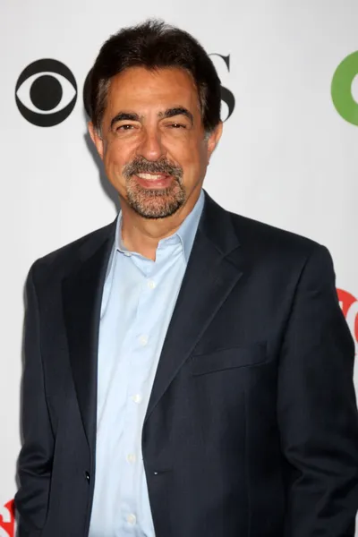 Joe Mantegna — Stock Photo, Image