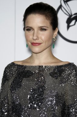 Sophia bush