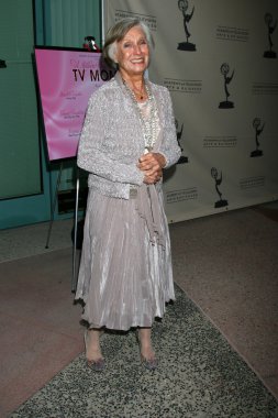 senaryo yazarı