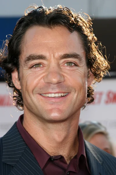 David S. Lee