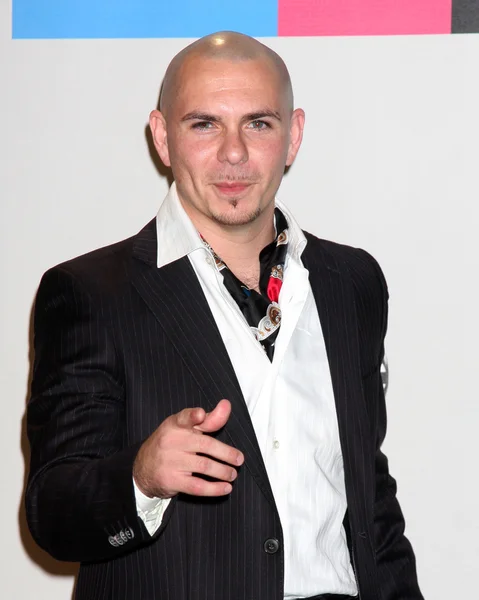 Pitbull — Stock Photo, Image