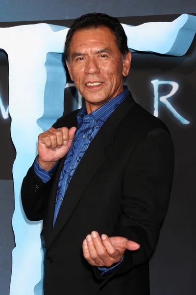 Wes Studi — Stock Photo, Image