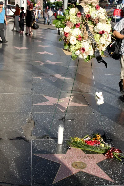 Tony Curtis Star — Foto Stock