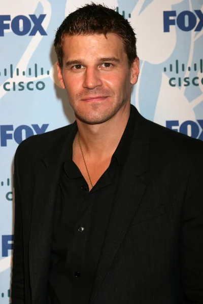 David Boreanaz — Stock Photo, Image