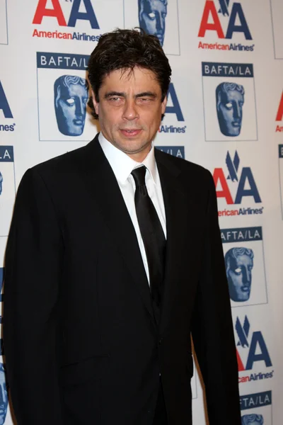 Benicio Del Toro — Photo