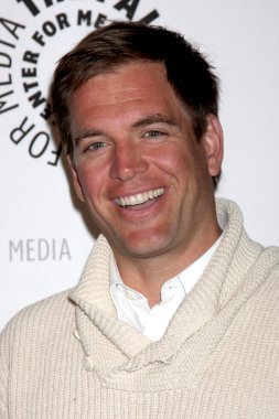 Michael Weatherly'nin