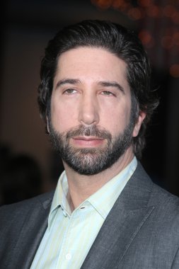 David Schwimmer