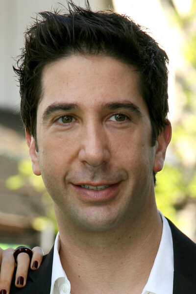 David Schwimmer