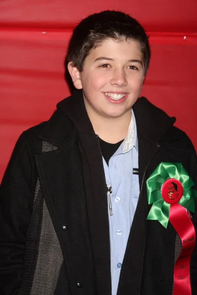 Bradley Steven Perry — Stockfoto