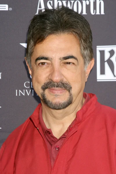 Joe Mantegna. — Fotografia de Stock