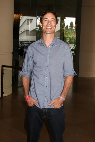 Tom Cavanagh — Stock Photo, Image