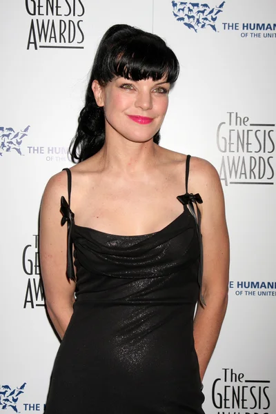 Pauley Perrette — Fotografia de Stock