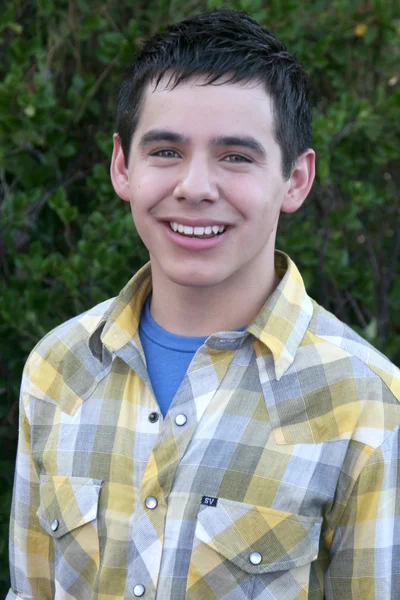 Δίσκων David archuleta — Φωτογραφία Αρχείου