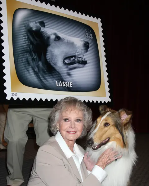 June Lockhart & Lassie — Stock Photo, Image