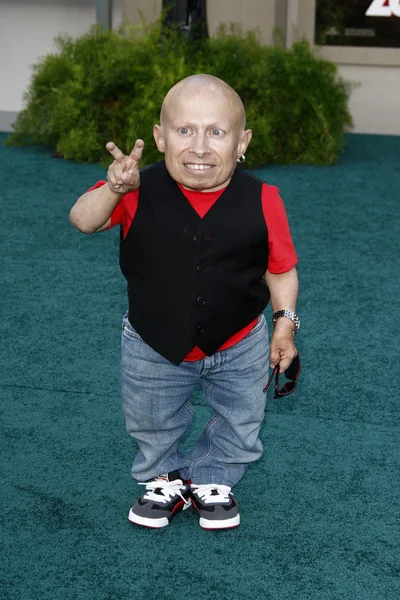 Verne Troyer — Stock Photo, Image