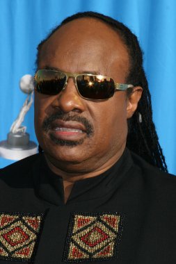 Stevie Wonder