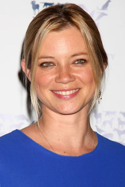 Amy Smart — Zdjęcie stockowe