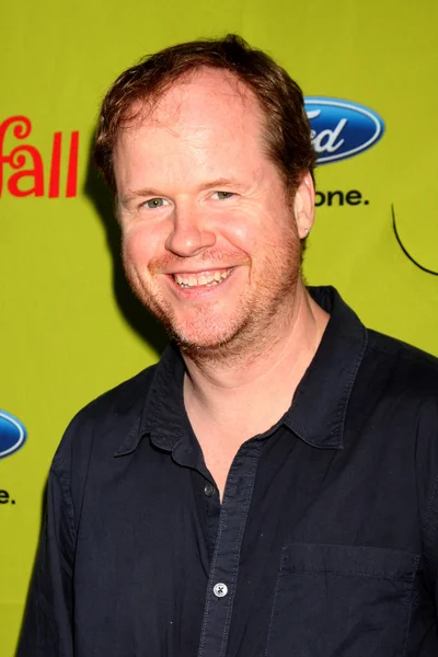 Joss Whedon — Stockfoto