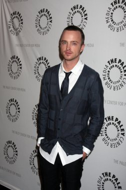 Aaron Paul
