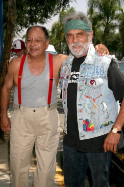 Cheech marin ve tommy chong