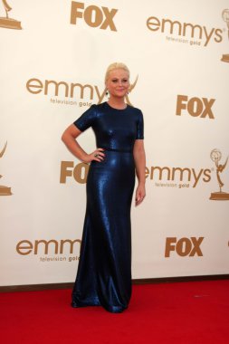 Amy Poehler
