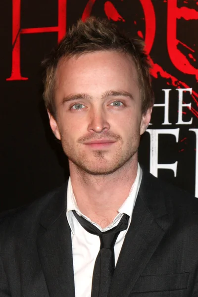 Aaron Paul — Stockfoto