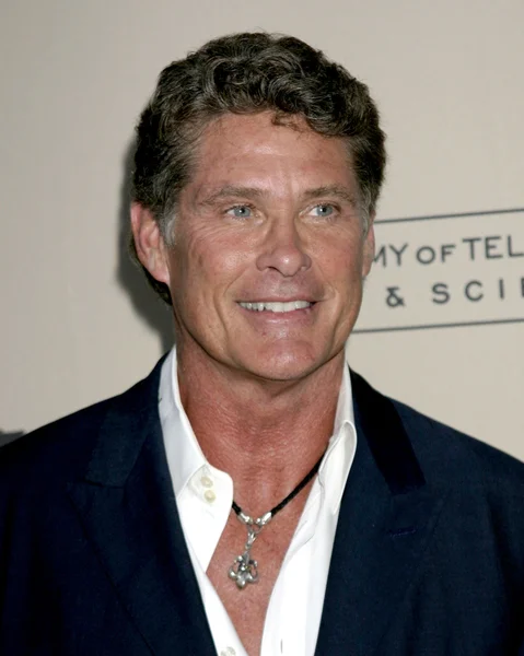 David Hasselhoff. — Fotografia de Stock