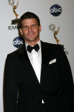 David Boreanaz