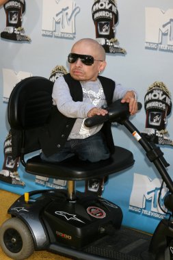 Verne Troyer