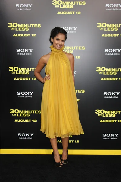 Dilshad Vadsaria