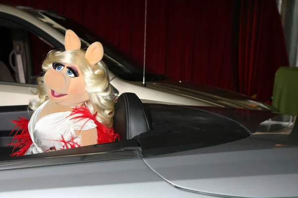 Miss Piggy — Stock Photo, Image