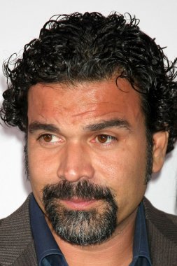 Ricardo chavira antonio